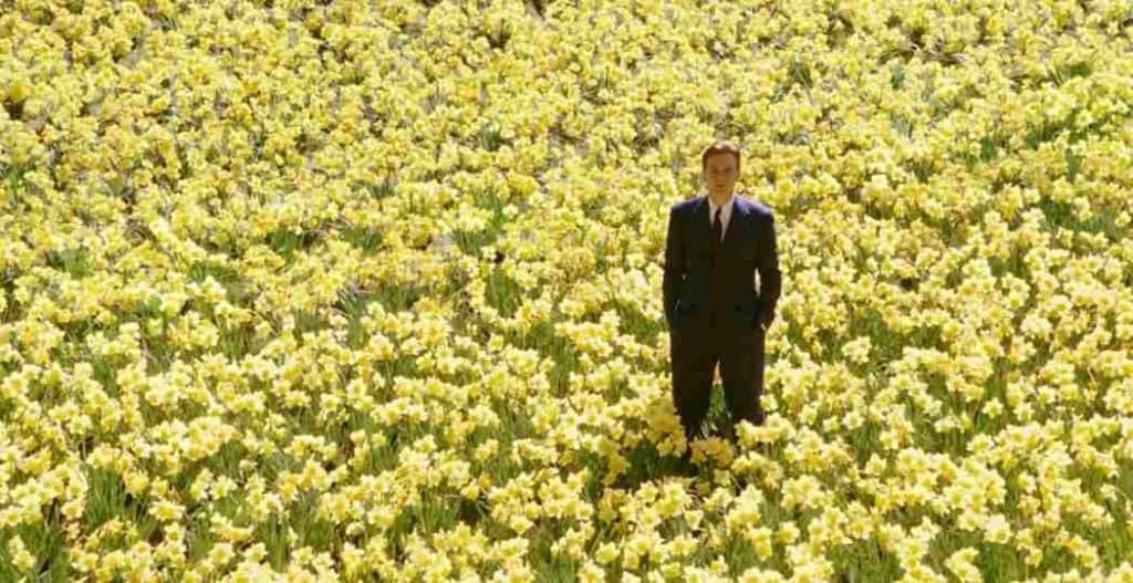 big fish newscinema