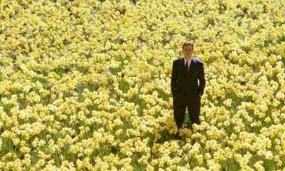 big fish newscinema