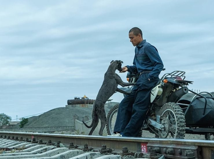 Una scena di Black Dog (fonte: Festival di Cannes)